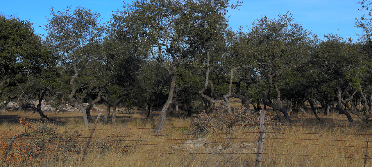 Spicewood Trails Land Sale