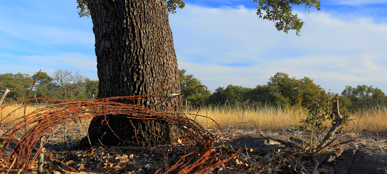 Spicewood Trails Land Sale